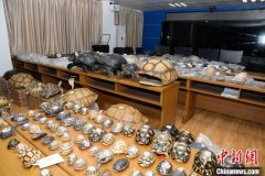 福建警方破获特大非法出售野生动物及其制品案西宁环保验收公司